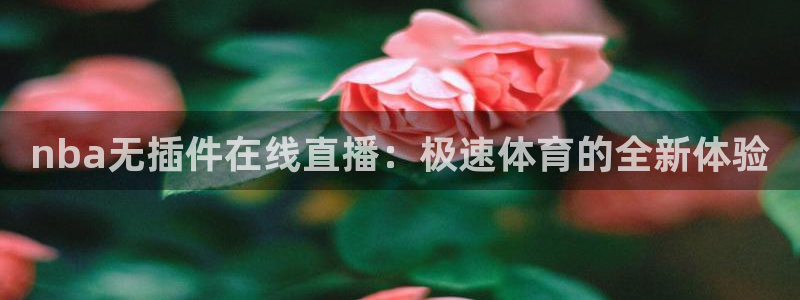 杏宇体育eon