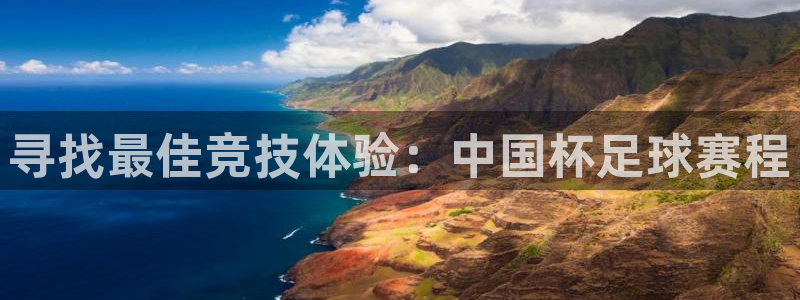 杏宇2官网