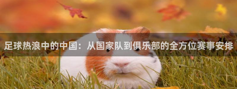 杏宇平台开户链接